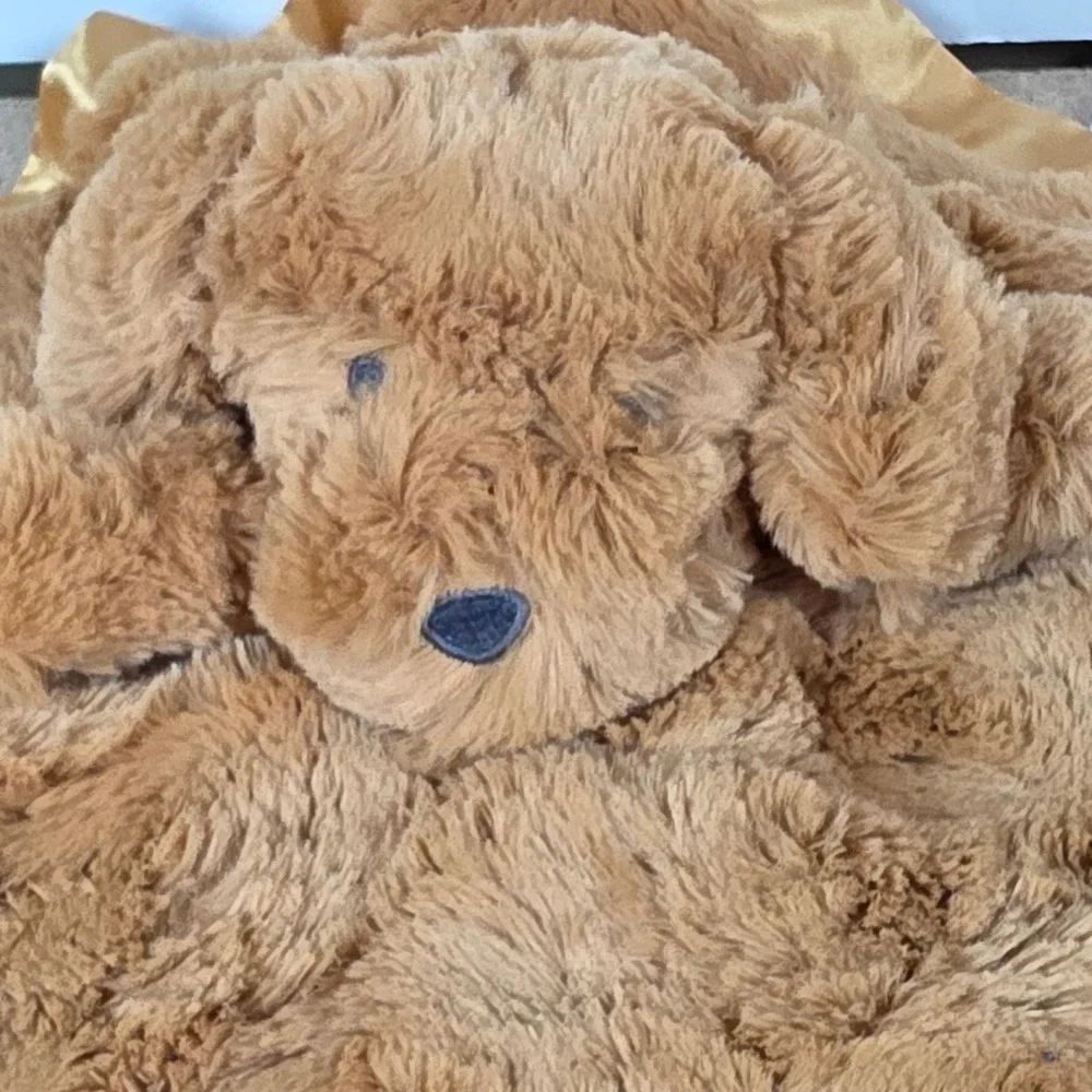Cloud Island golden tan Puppy‎ Dog Plush swirls Security Blanket lovey Satin